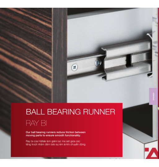 Ray Bi Giảm Chấn 300mm Hafele 494.02.061